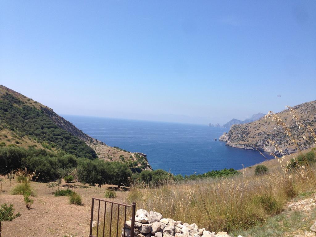 Olga'S Residence Relais Nerano Kültér fotó